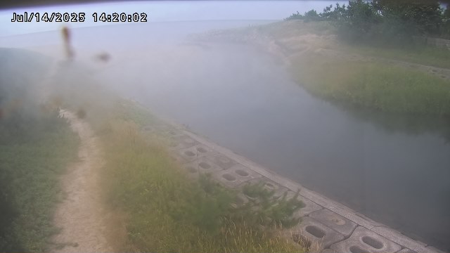 加茂新川河口2026/07/14 15:20:00