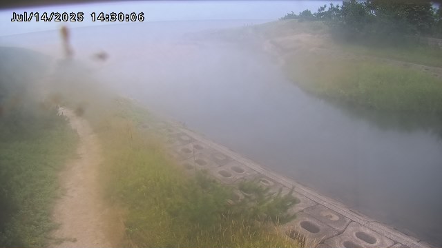 加茂新川河口2026/07/14 15:20:00