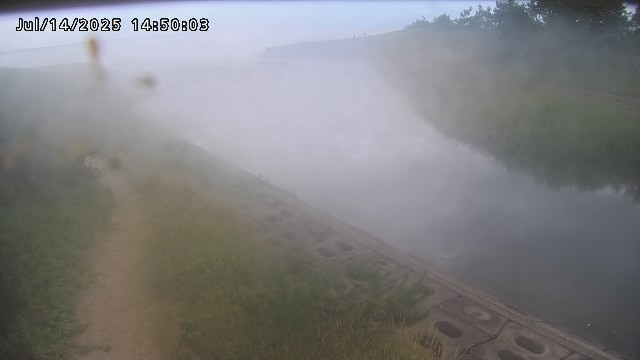 加茂新川河口2026/07/14 15:20:00