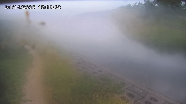 加茂新川河口2026/07/14 15:20:00