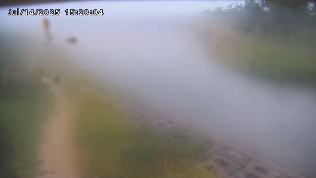 加茂新川河口2026/07/14 15:20:00