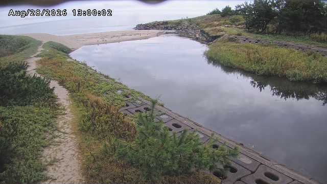 加茂新川河口2026/08/28 17:30:00