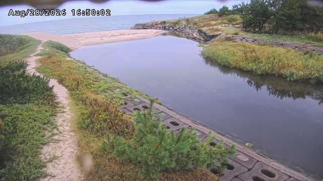 加茂新川河口2026/08/28 17:30:00