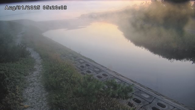 加茂新川河口2025/08/31 9:10:00