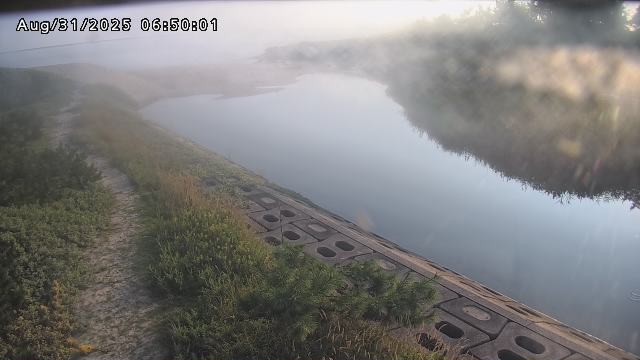 加茂新川河口2025/08/31 9:10:00
