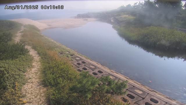 加茂新川河口2025/08/31 9:10:00