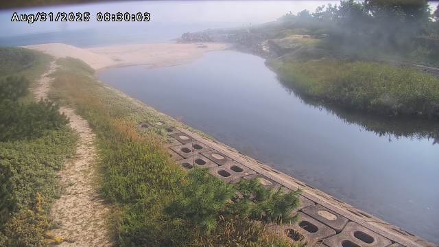 加茂新川河口2025/08/31 9:10:00