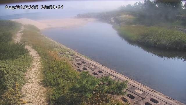 加茂新川河口2025/08/31 9:10:00