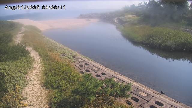 加茂新川河口2025/08/31 9:10:00