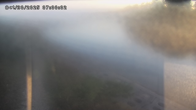 加茂新川河口2025/10/31 07:50