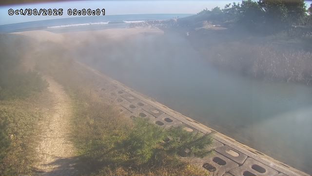 加茂新川河口2025/10/31 07:50