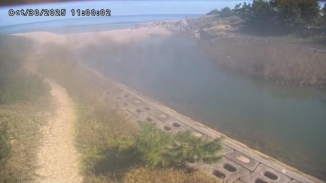 加茂新川河口2025/10/31 07:50