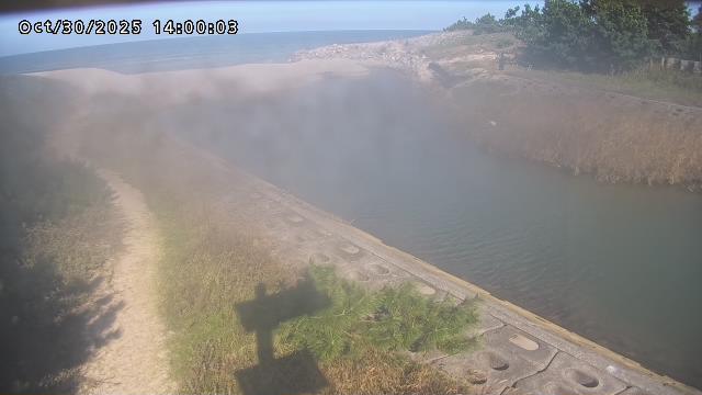 加茂新川河口2025/10/31 07:50