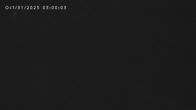 加茂新川河口2025/10/31 07:50