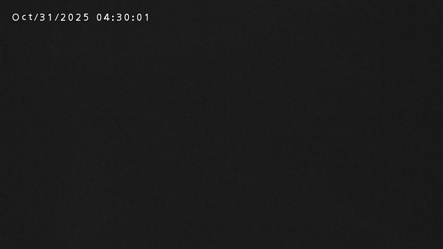 加茂新川河口2025/10/31 07:50