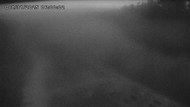 加茂新川河口2025/10/31 07:50