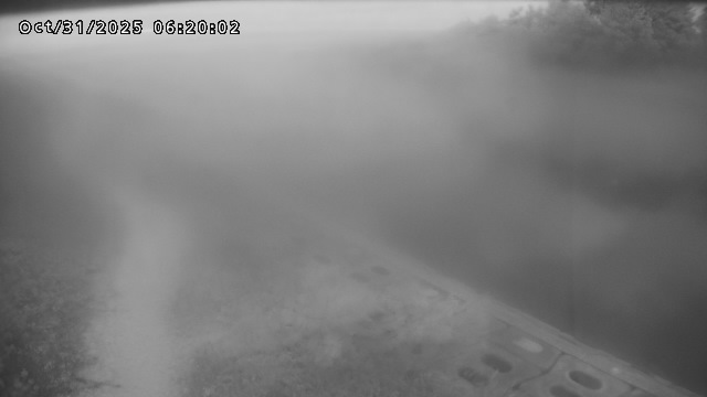 加茂新川河口2025/10/31 07:50