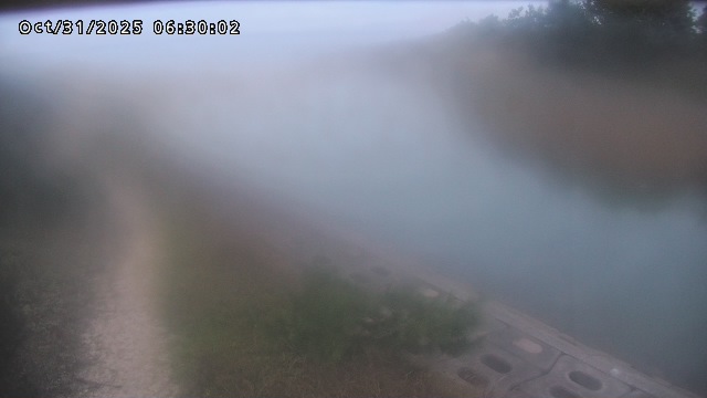 加茂新川河口2025/10/31 07:50