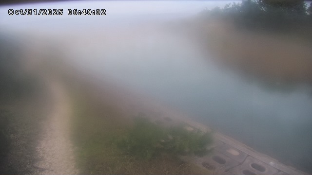 加茂新川河口2025/10/31 07:50