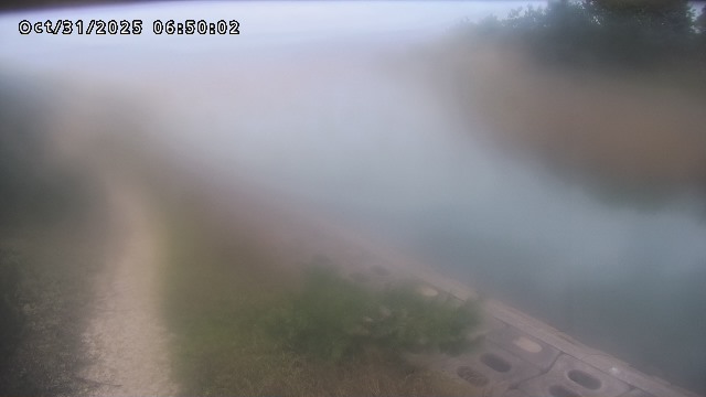 加茂新川河口2025/10/31 07:50