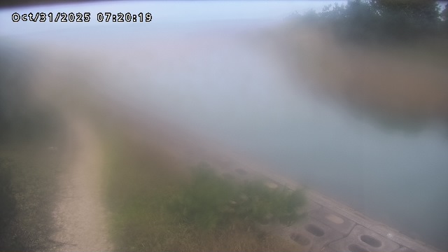 加茂新川河口2025/10/31 07:50