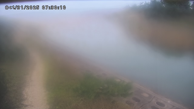 加茂新川河口2025/10/31 07:50