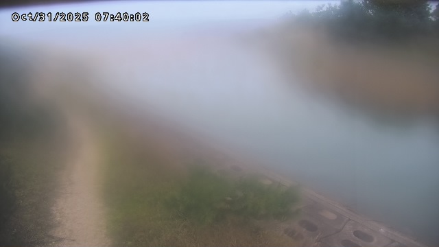 加茂新川河口2025/10/31 07:50