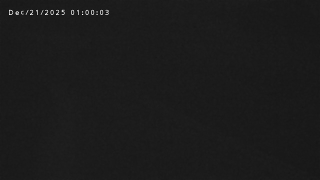 加茂新川河口2025/12/22 1:00:00