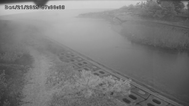 加茂新川河口2025/12/22 1:00:00