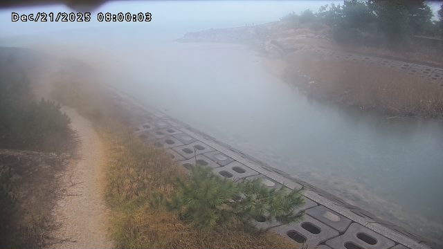 加茂新川河口2025/12/22 1:00:00