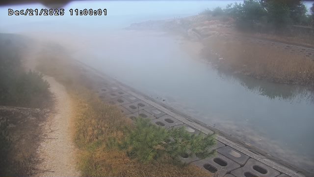 加茂新川河口2025/12/22 1:00:00