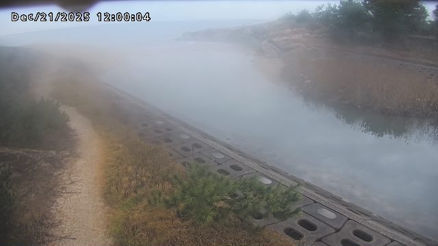 加茂新川河口2025/12/22 1:00:00