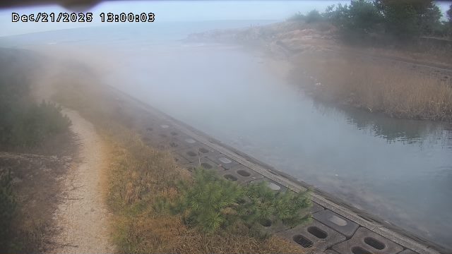 加茂新川河口2025/12/22 1:00:00