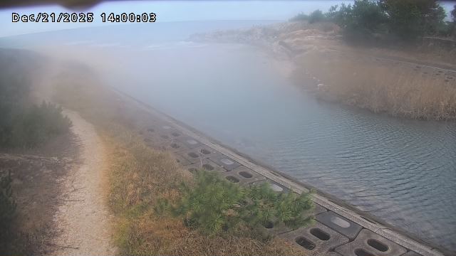 加茂新川河口2025/12/22 1:00:00