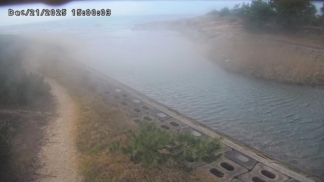 加茂新川河口2025/12/22 1:00:00