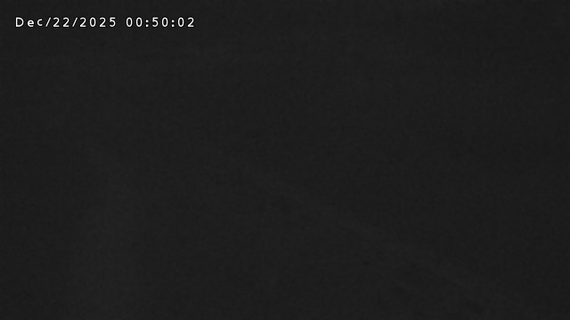 加茂新川河口2025/12/22 1:00:00