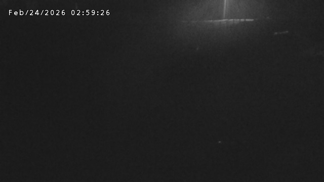 加茂川３2026/02/25 2:40:00