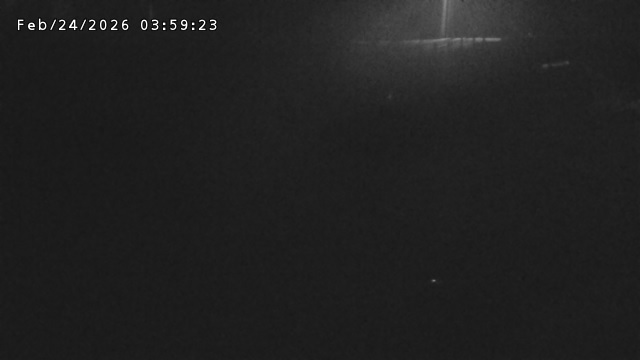 加茂川３2026/02/25 2:40:00