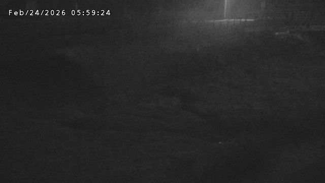 加茂川３2026/02/25 2:40:00