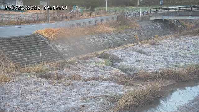 加茂川３2026/02/25 2:40:00