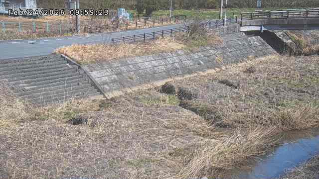 加茂川３2026/02/25 2:40:00