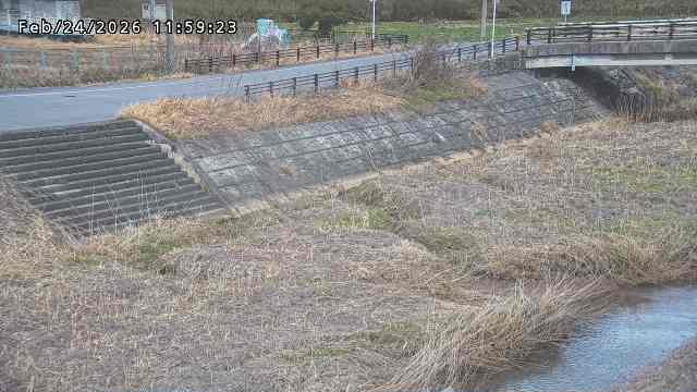 加茂川３2026/02/25 2:40:00