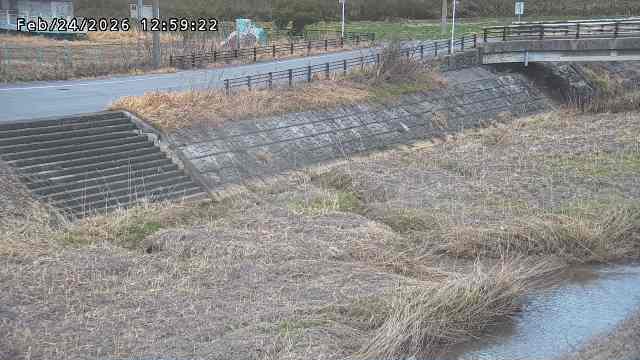 加茂川３2026/02/25 2:40:00