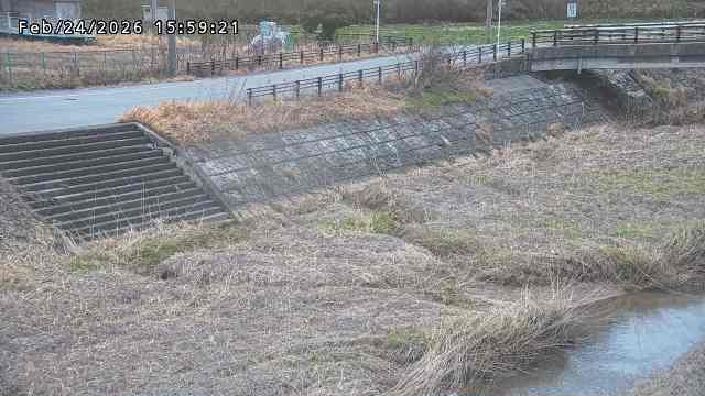 加茂川３2026/02/25 2:40:00