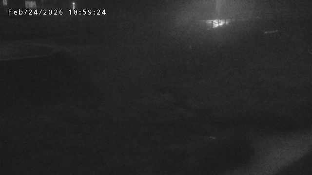 加茂川３2026/02/25 2:40:00