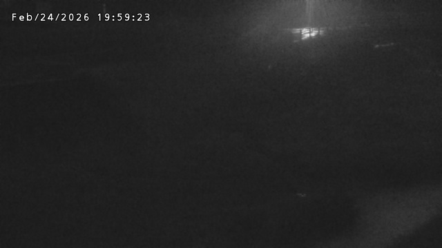 加茂川３2026/02/25 2:40:00