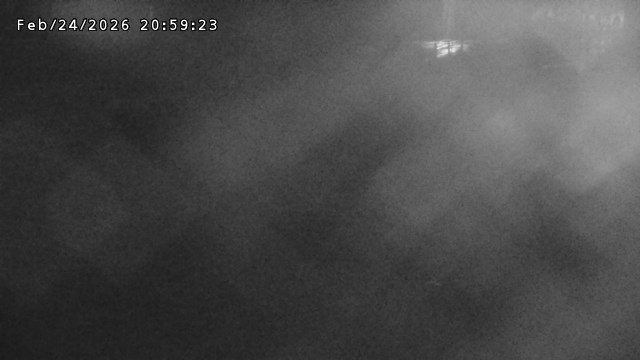 加茂川３2026/02/25 2:40:00