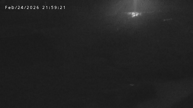 加茂川３2026/02/25 2:40:00