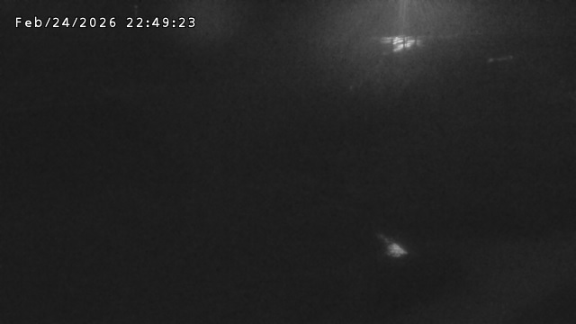 加茂川３2026/02/25 2:40:00