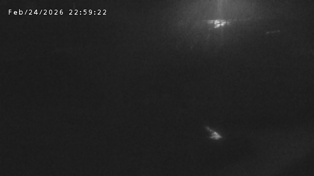 加茂川３2026/02/25 2:40:00